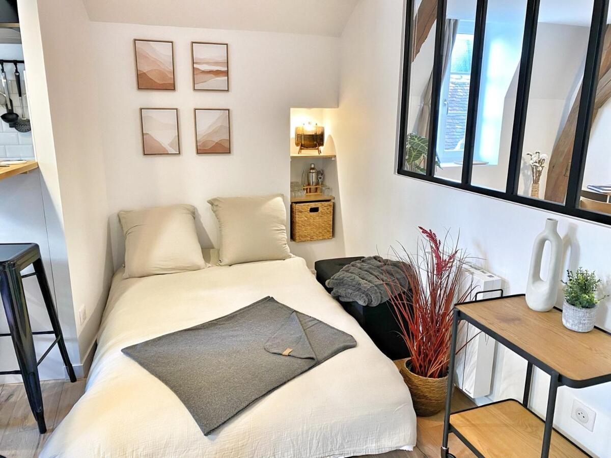 Le Repere Des Sommeliers - Sejour A Auxerre Apartman Kültér fotó