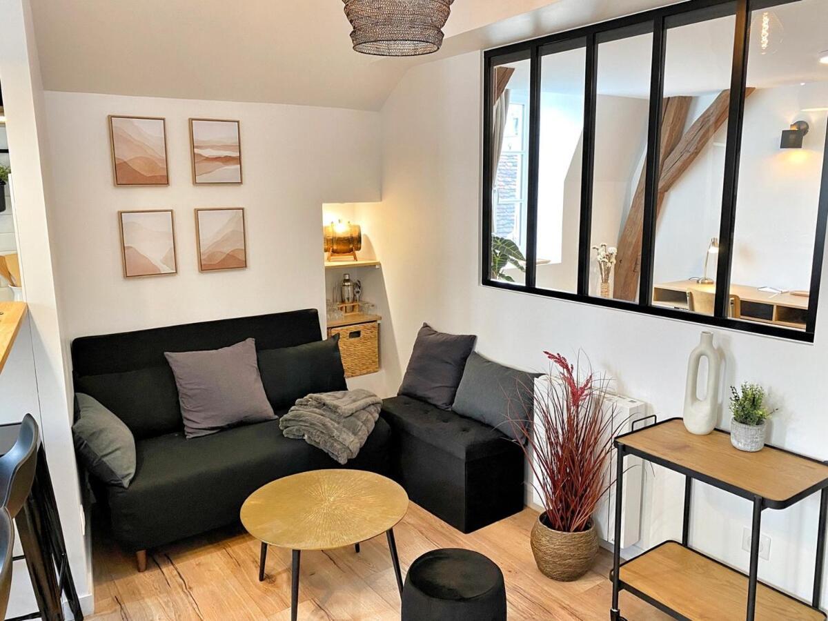 Le Repere Des Sommeliers - Sejour A Auxerre Apartman Kültér fotó